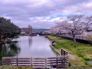 3月31日(火)　日記