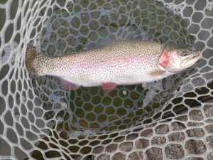 3月23日（月）あきる野市　オザネールさん