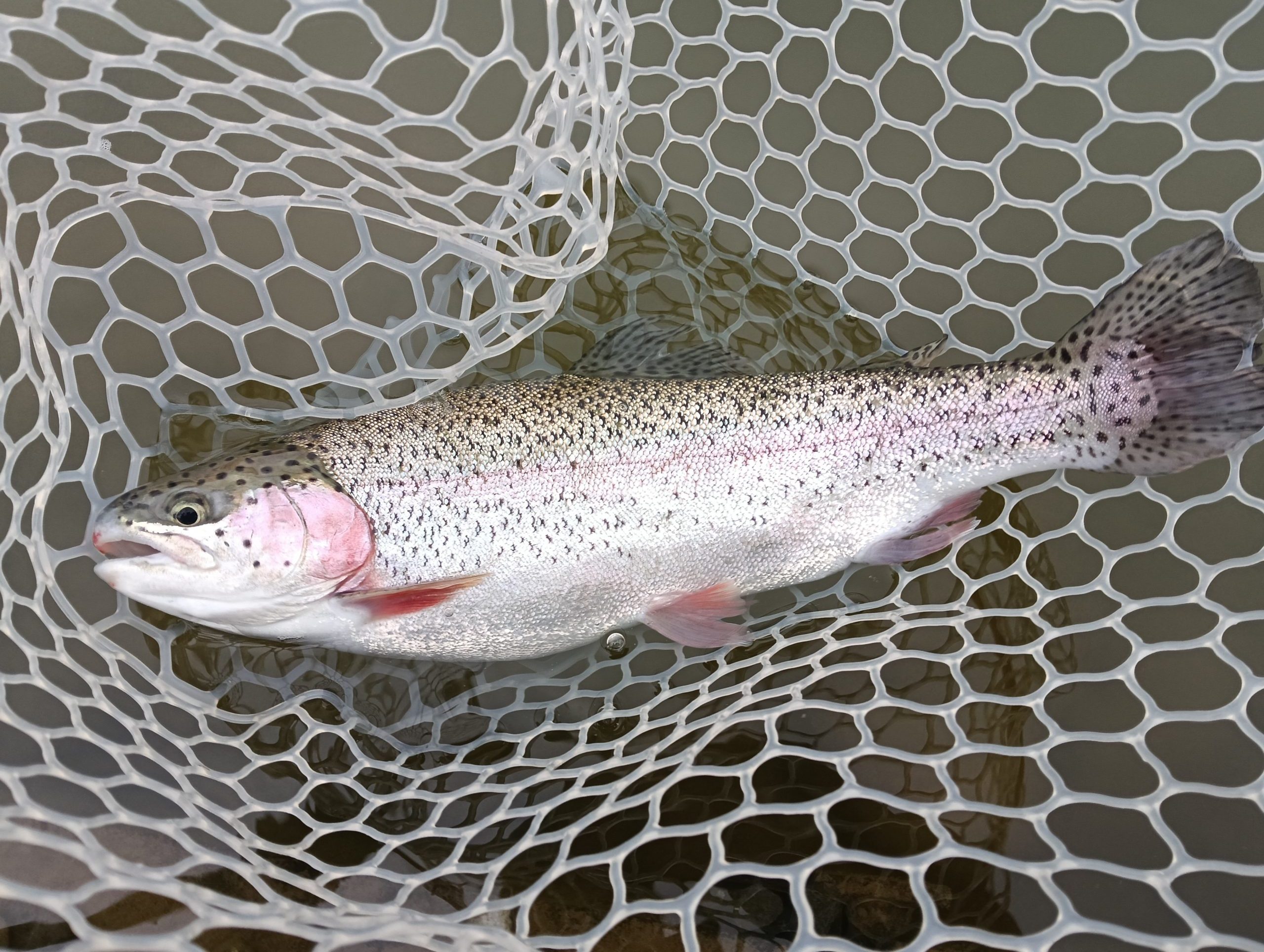 3月10日（火）甘楽町　釣り馬鹿スーさんさん