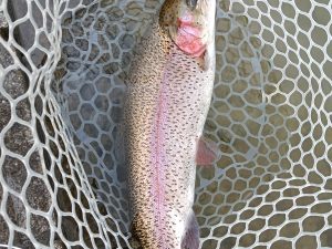 3月16日(月)　甘楽町　釣り馬鹿スーさん