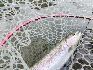 3月16日(月)　坂戸市　Kさん