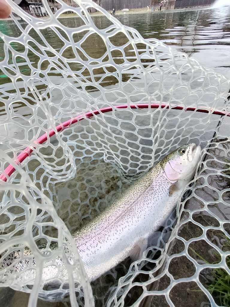 3月16日(月)　坂戸市　Kさん