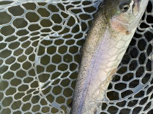 3月6日(金)　三芳町　cima cimaさん