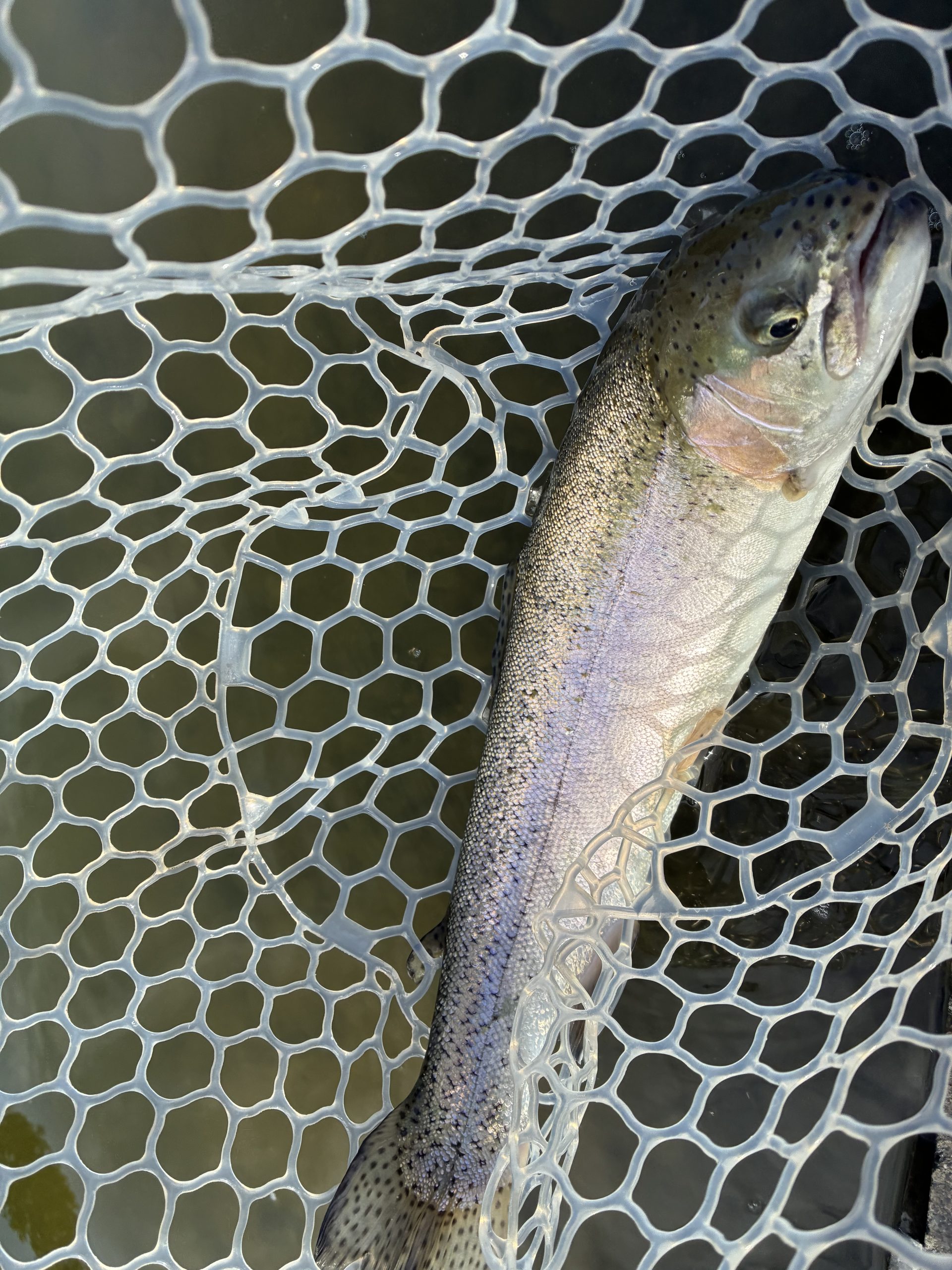 3月6日(金)　三芳町　cima cimaさん