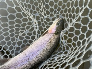 3月13日(金)　三芳町　cima cimaさん