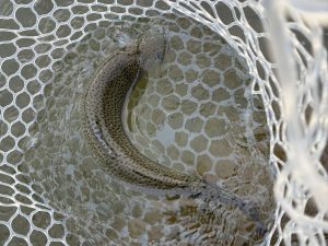 3月20日（金・祝）三芳町　cima cimaさん