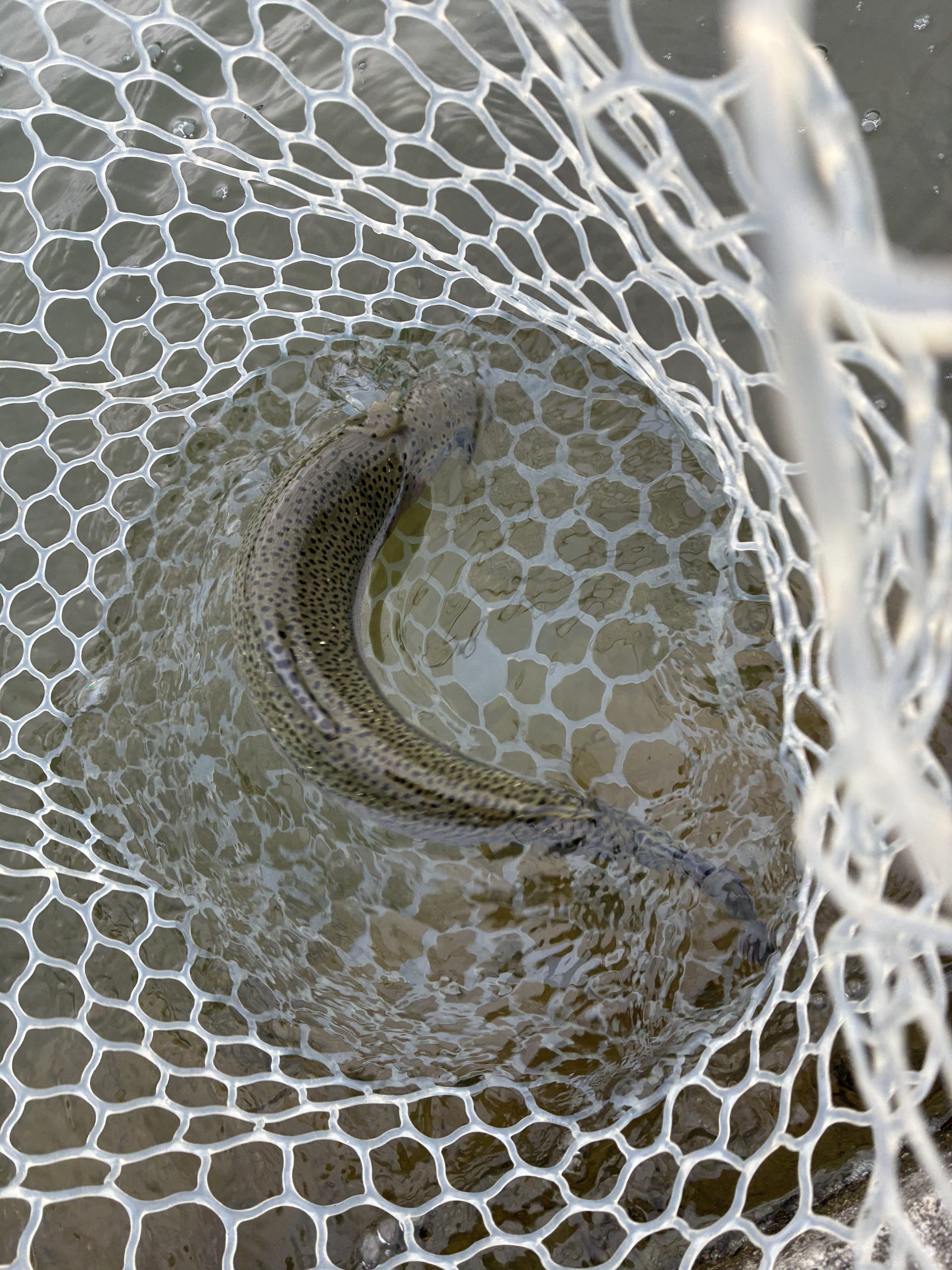 3月20日（金・祝）三芳町　cima cimaさん