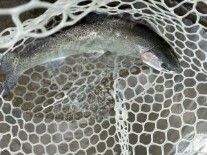 3月27日（金）三芳町　cima cimaさん