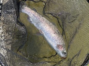 3月1日（日）町田市　トヨシマさん