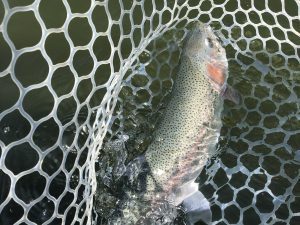 3月28日(土)　八王子市　Mookieさん