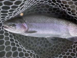 3月1日（日）小平市　しいたけさん