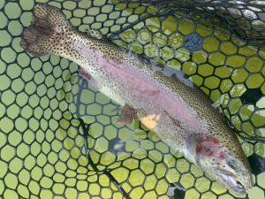 3月1日（日）国立市　K.Tさん