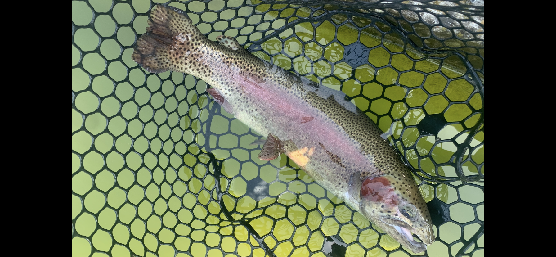 3月1日（日）国立市　K.Tさん