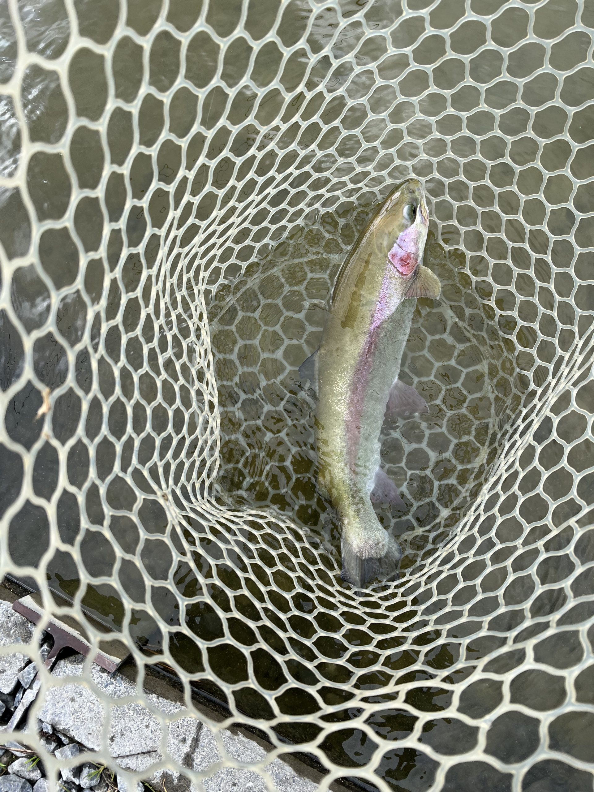 3月6日(金)　八王子市　HGさん