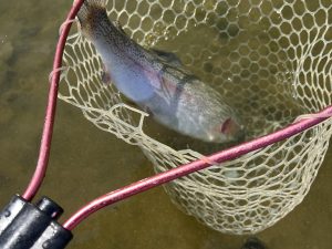 3月9日（月）八王子市　HGさん