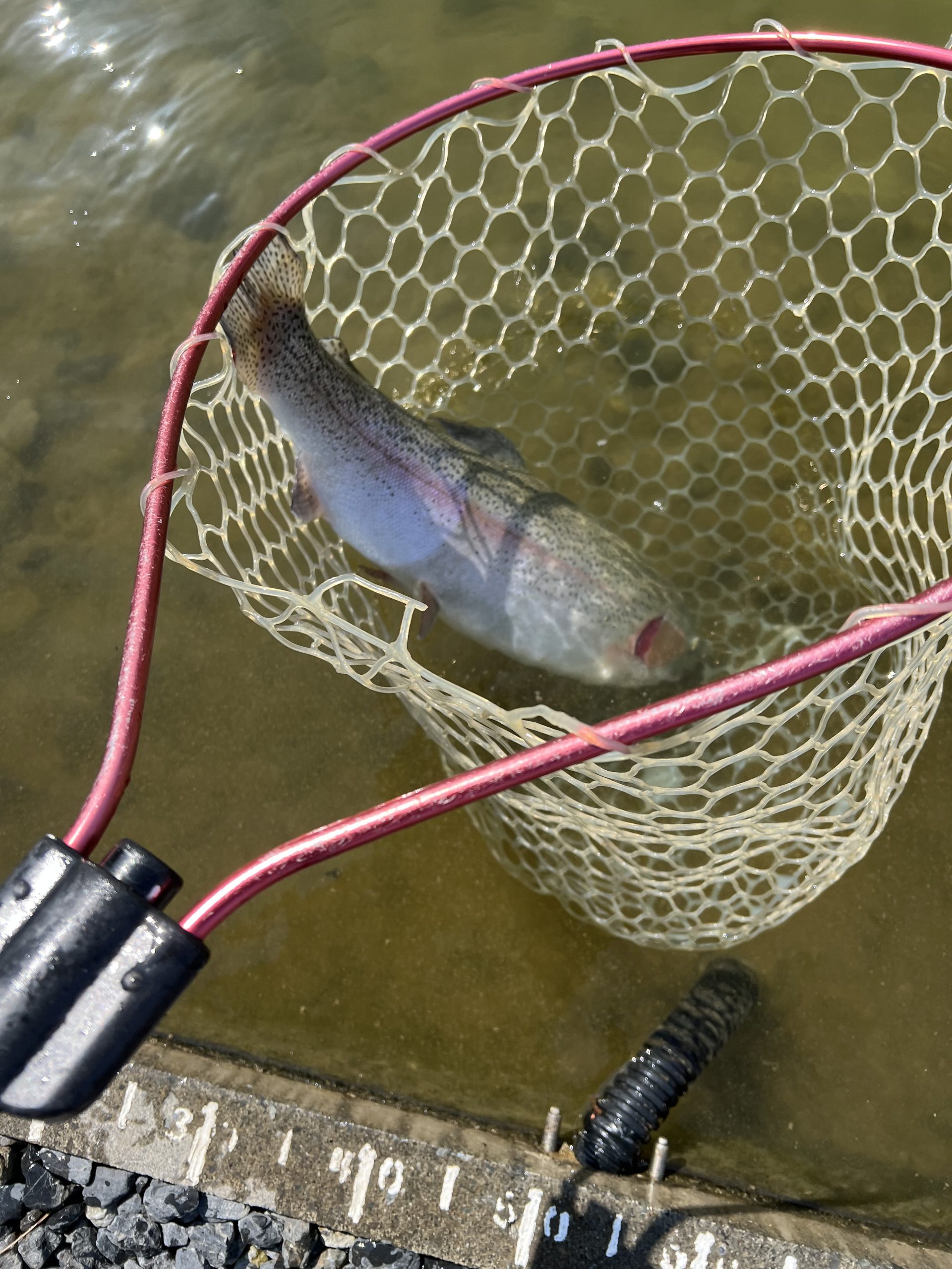 3月9日（月）八王子市　HGさん