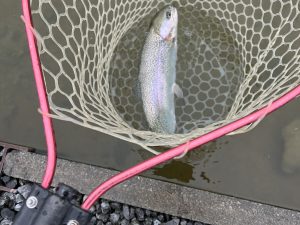 3月13日(金)　八王子市　HGさん