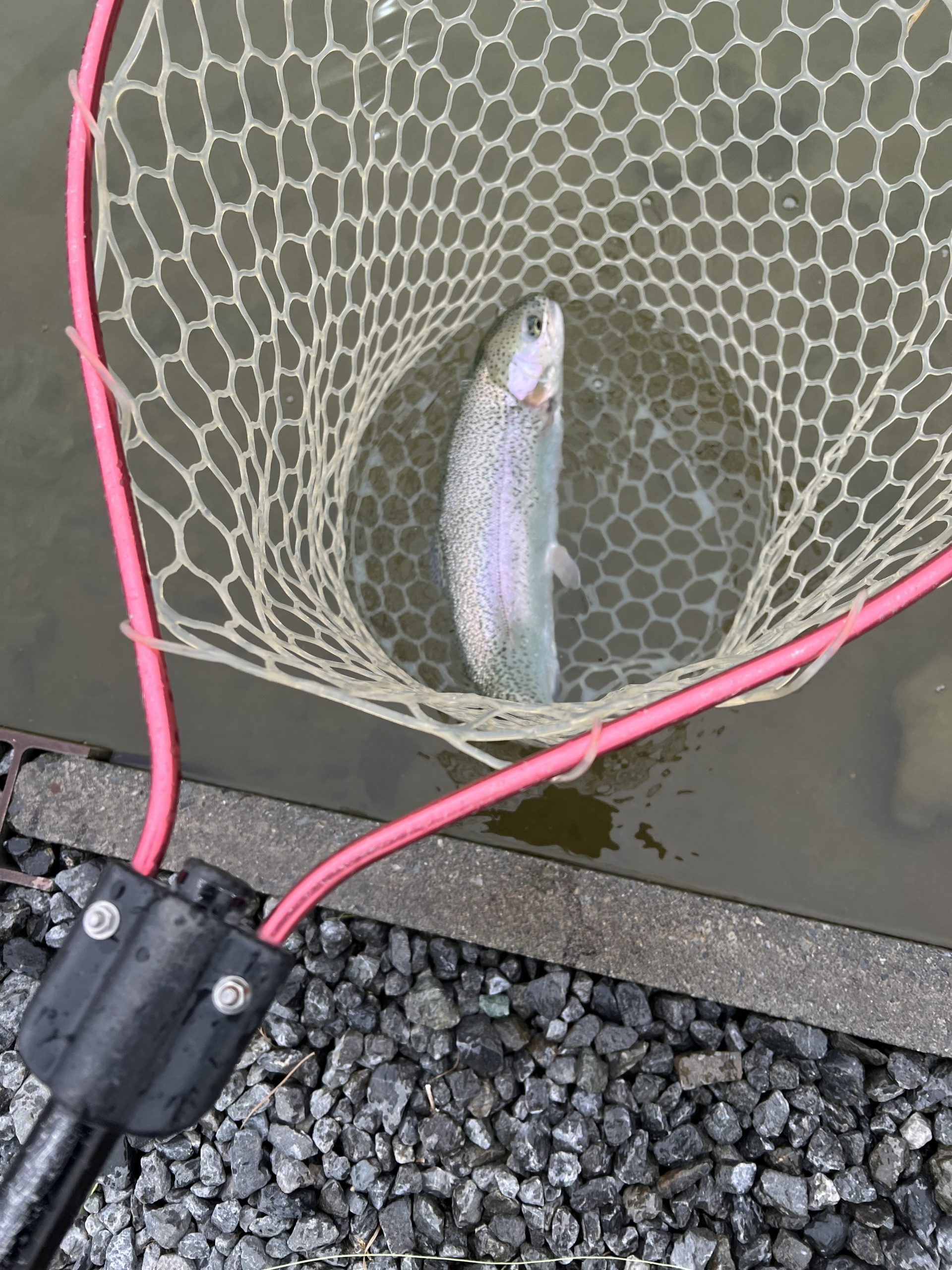 3月13日(金)　八王子市　HGさん