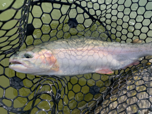 3月8日（日）国立市　K.Tさん