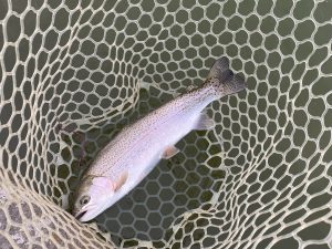 3月7日（土）浦安市　kpさん