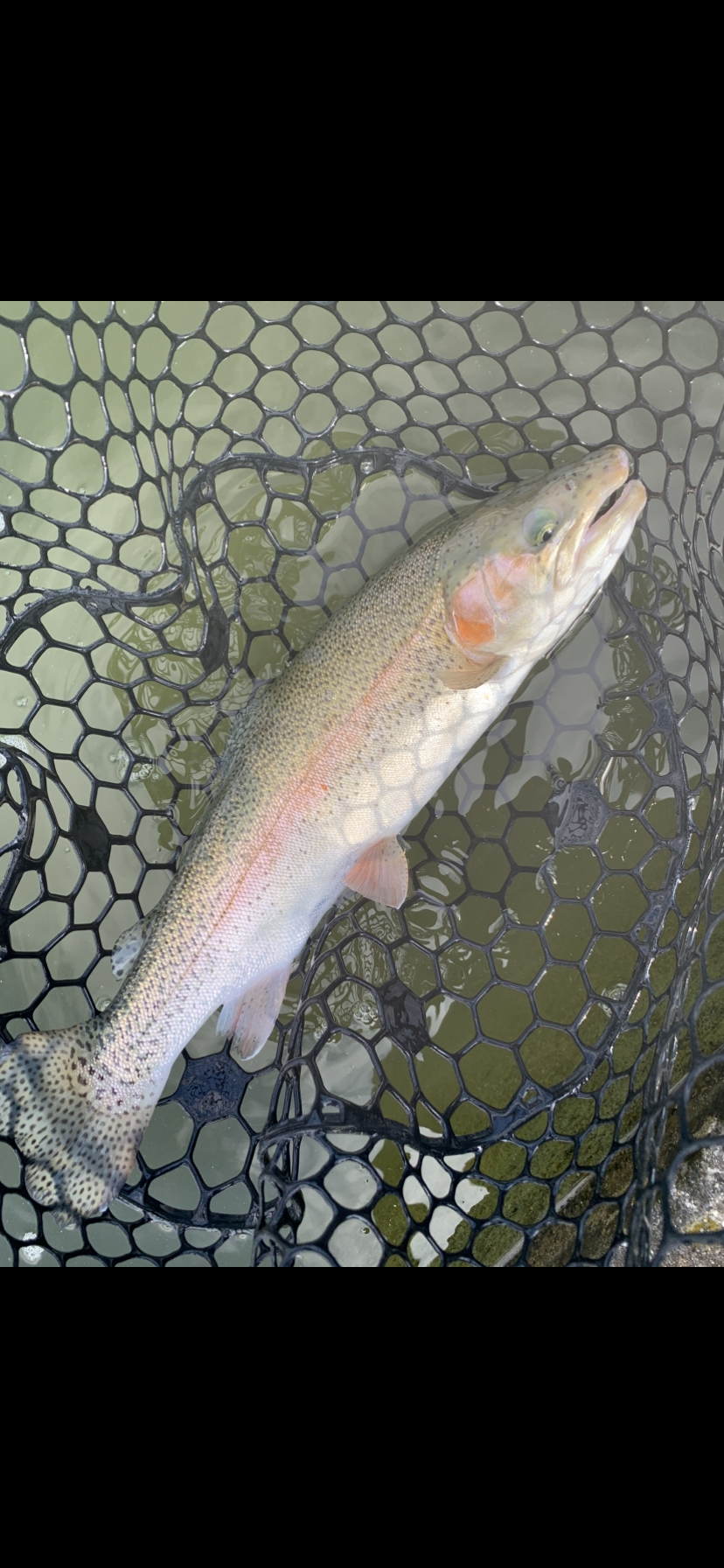 3月17日（火）国立市　K.Tさん