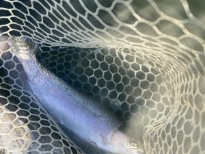 3月21日(土)　浦安市　kpさん