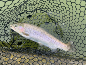 3月25日（水）国立市　K.Tさん