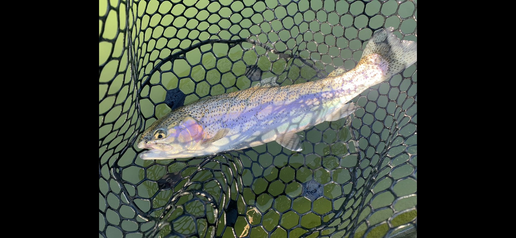 3月27日（金）国立市　K.Tさん