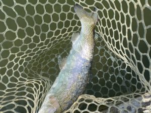 3月28日(土)　浦安市　kpさん