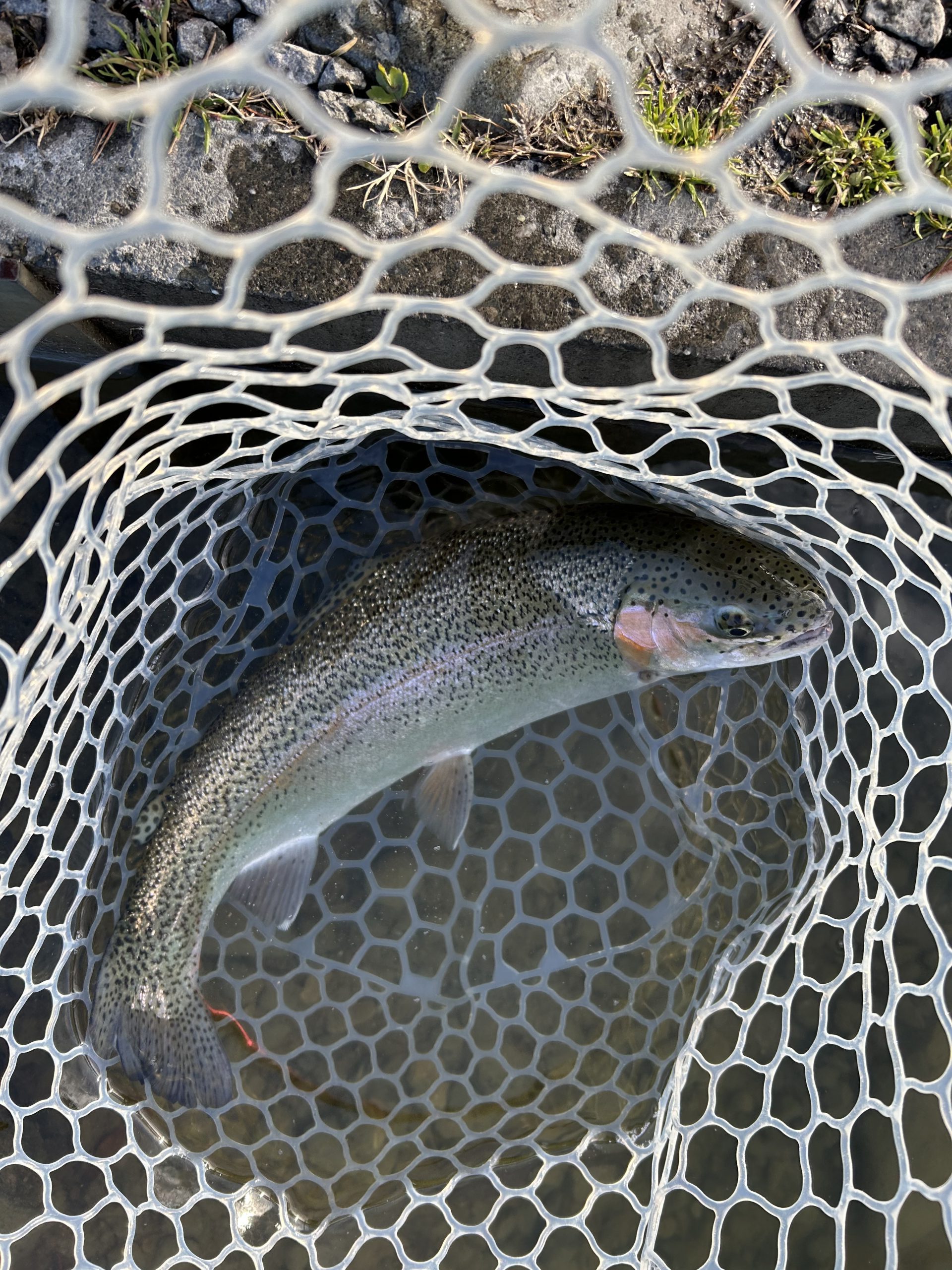 3月14日（土）あきる野市　野口さん