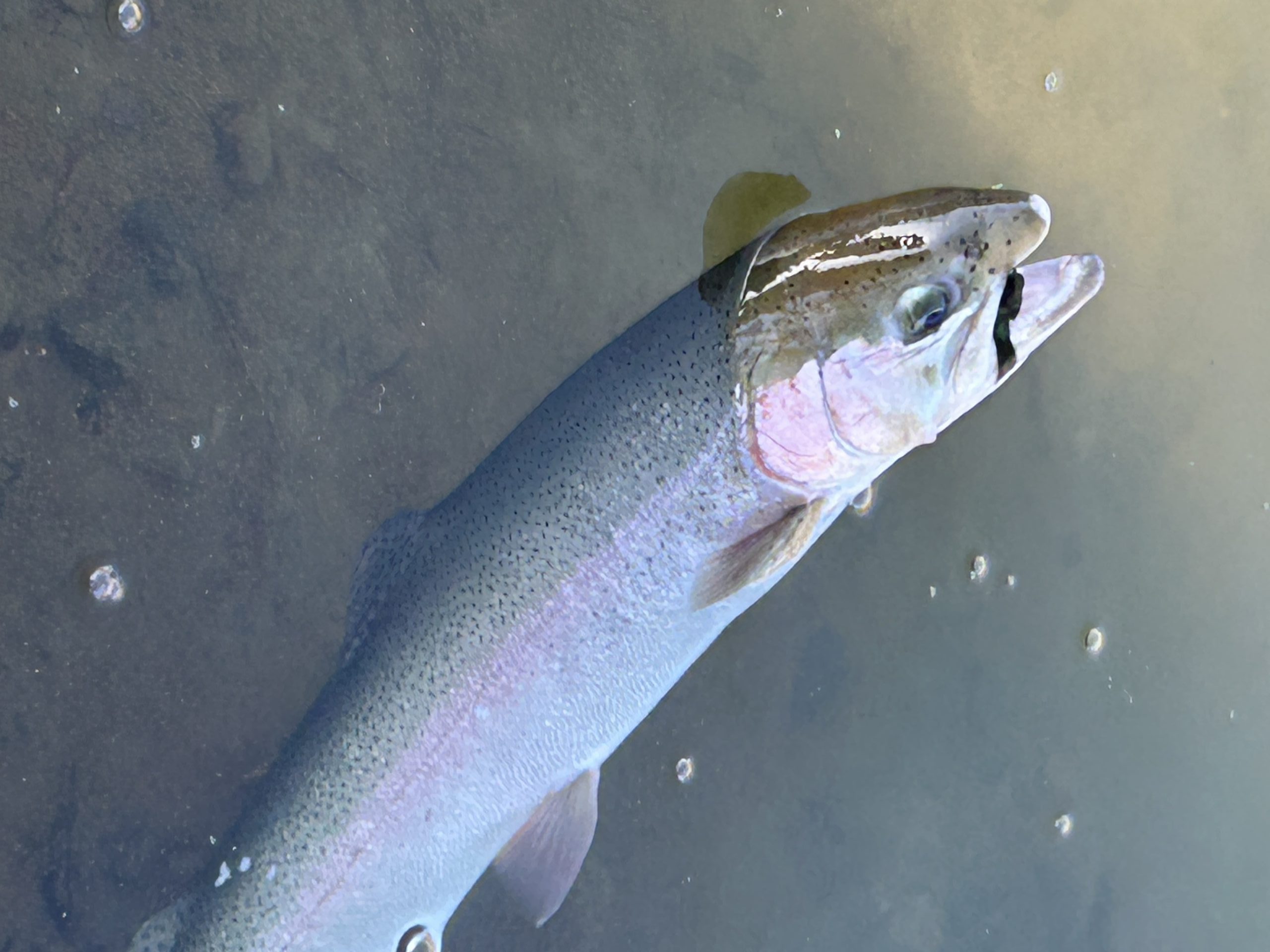 3月24日（火）あきる野市　野口さん