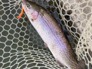 3月13日(金)　座間市　あきとさん