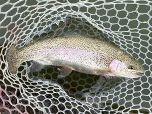 3月2日（月）小平市　MORI　さん