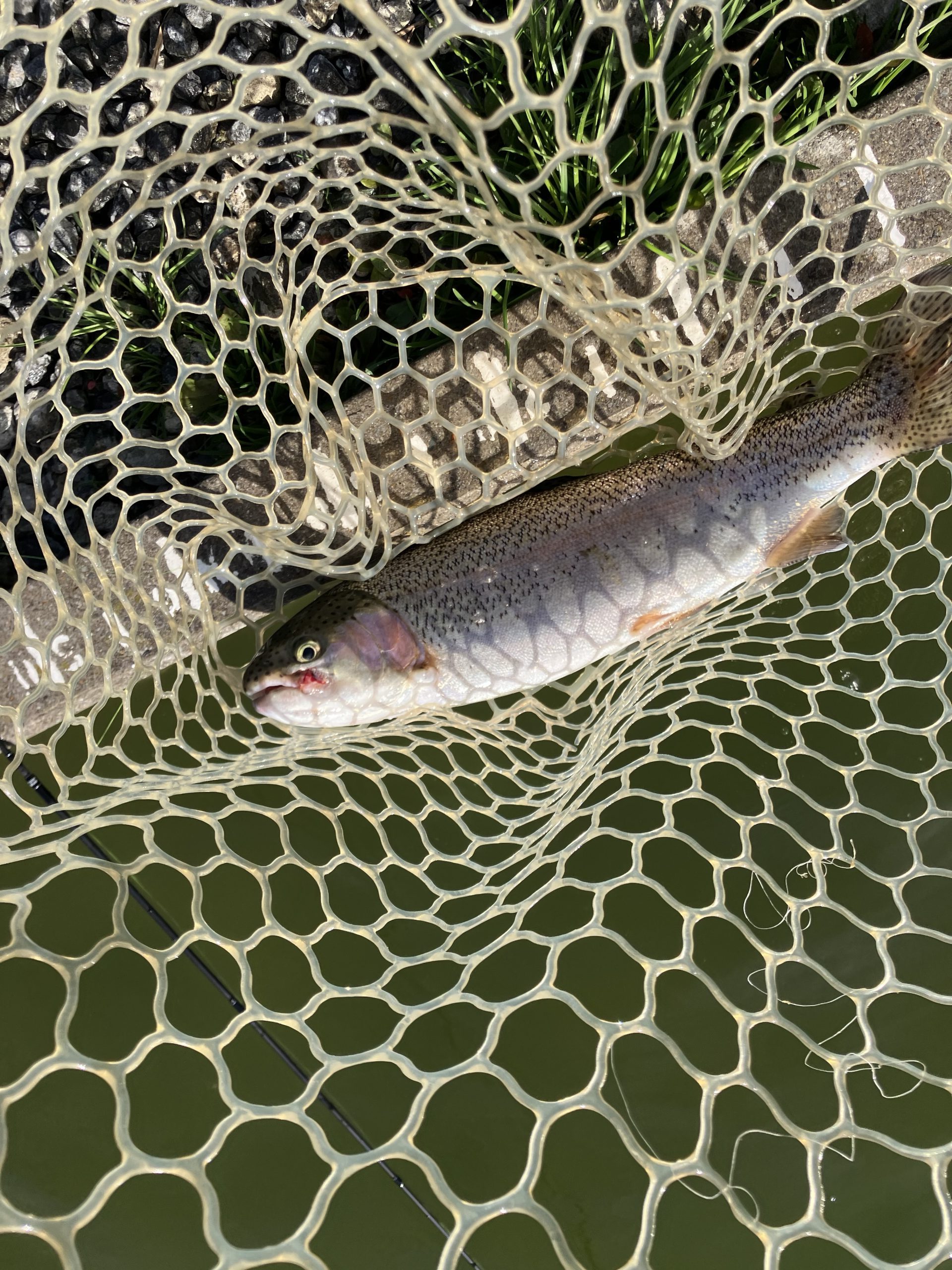 2月28日（土）羽村市　うにねこさん