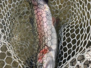 3月15日(日)　羽村市　うにねこさん