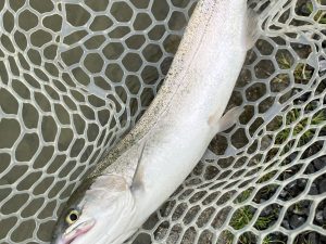 3月20日（金・祝）羽村市　うにねこさん