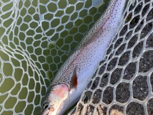 3月23日（月）羽村市　うにねこさん