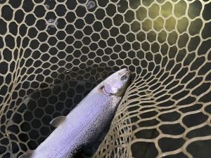 3月21日(土)　武蔵村山市　4月もナイター営業ありがとうございます！さん