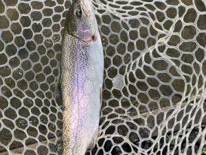 3月28日(土)　羽村市　うにねこさん