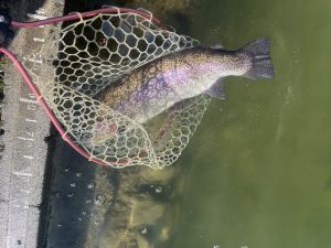 3月14日（土）あきる野市　チャッピーさん