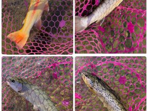 3月21日(土)　八王子市　Bさんさん