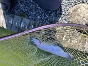 3月8日(日)　杉並区　ナカムーさん