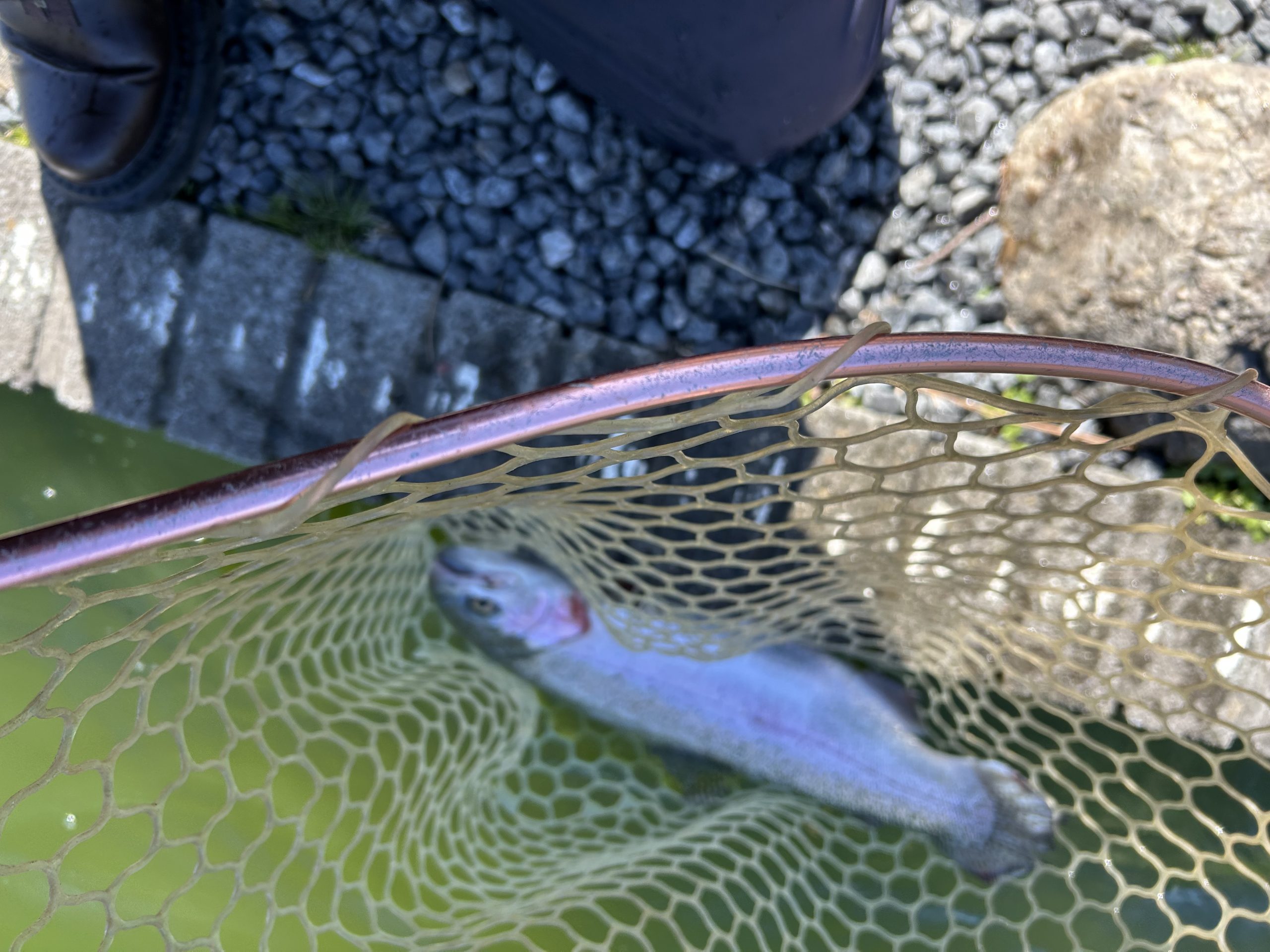 3月8日(日)　杉並区　ナカムーさん