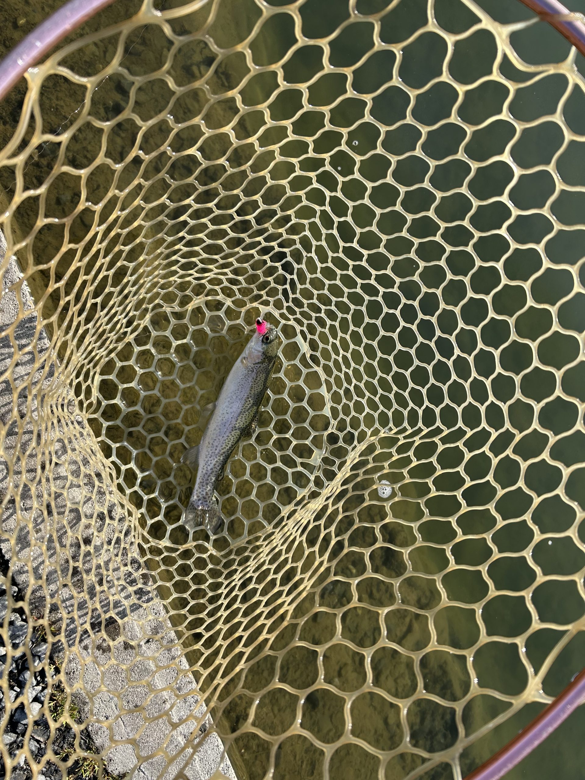 3月21日(土)　杉並区　ナカムーさん