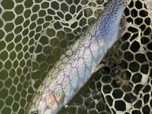 2月28日（土）三芳町　cima cimaさん