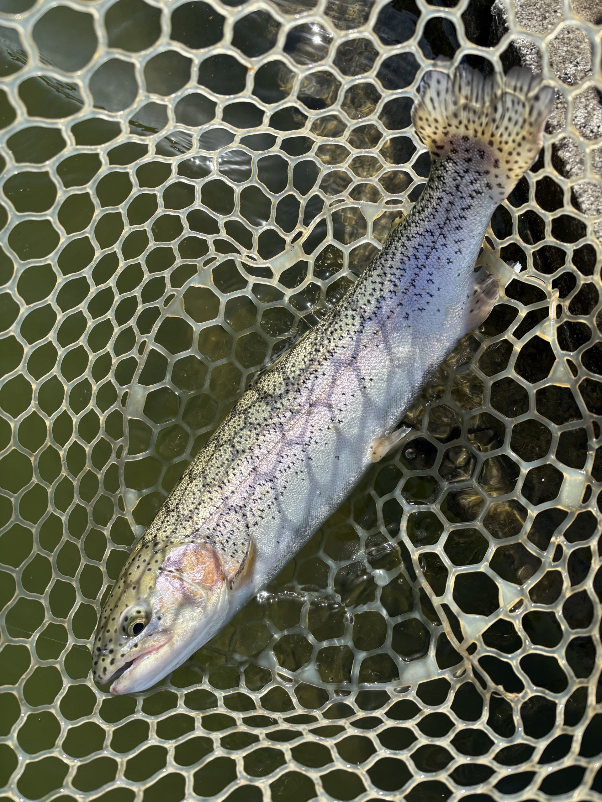 2月28日（土）三芳町　cima cimaさん