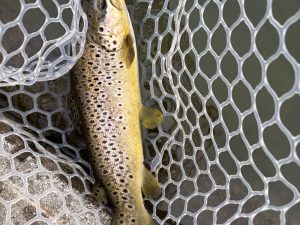 3月6日(金)　青梅市　鈴木さん