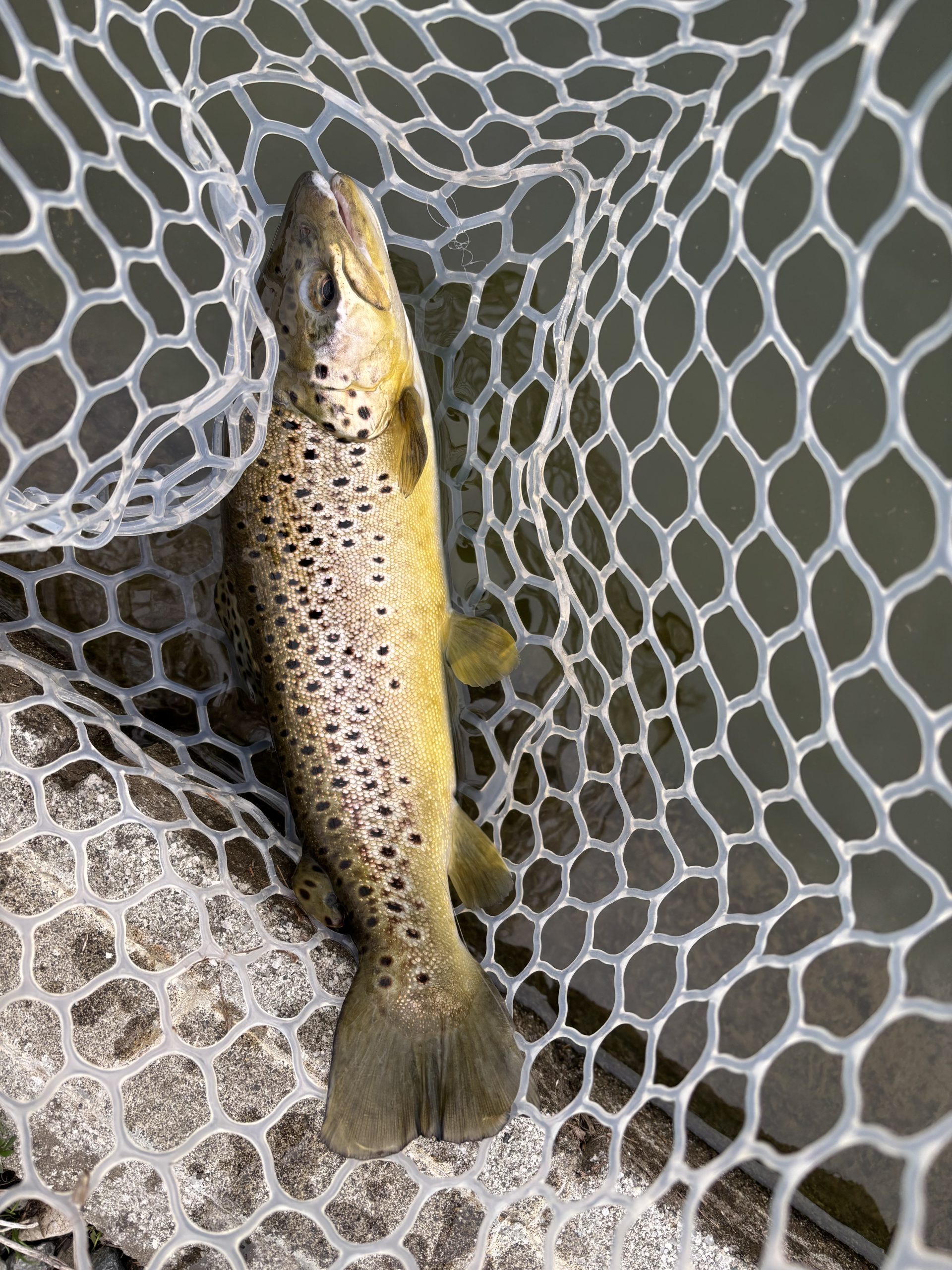 3月6日(金)　青梅市　鈴木さん