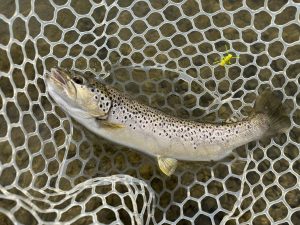 3月15日（日）青梅市　鈴木さん