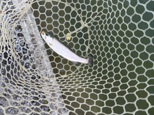 3月7日（土）入間市　大西　さん